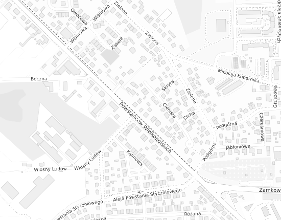 Mapa z adresem organizacji