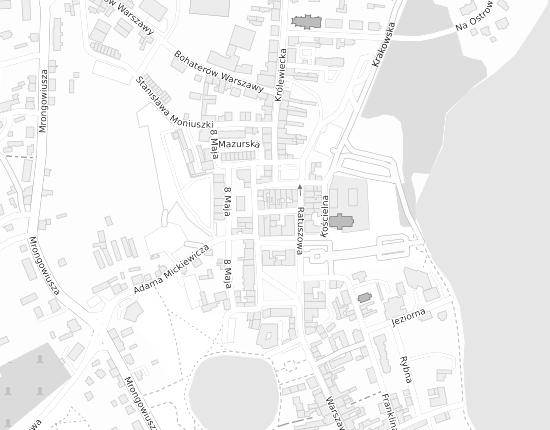 Mapa z adresem organizacji