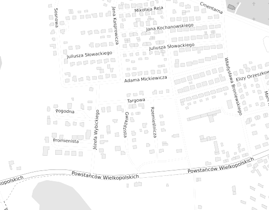 Mapa z adresem organizacji