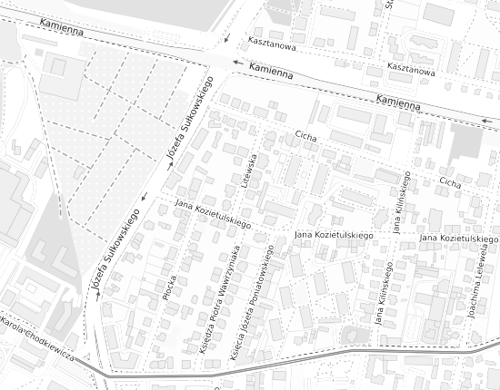 Mapa z adresem organizacji