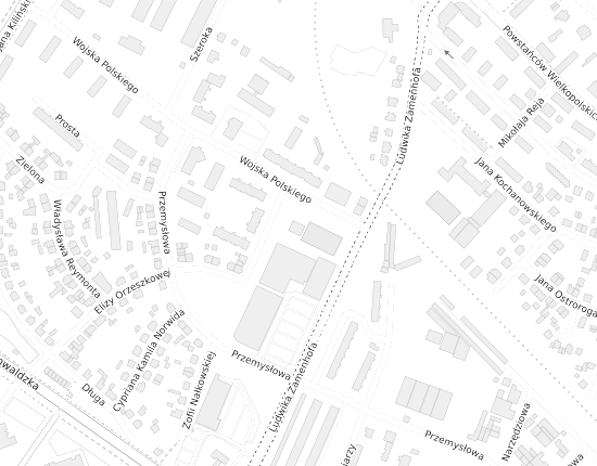 Mapa z adresem organizacji