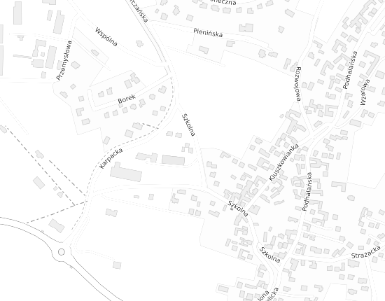 Mapa z adresem organizacji