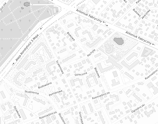 Mapa z adresem organizacji