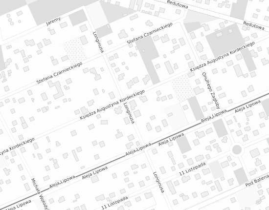 Mapa z adresem organizacji