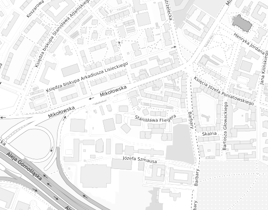 Mapa z adresem organizacji