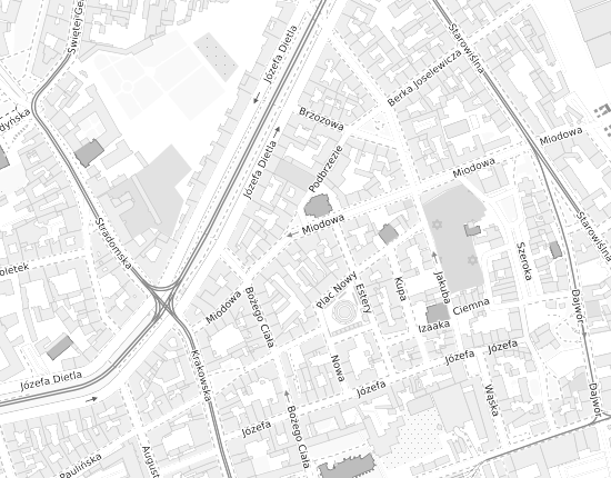 Mapa z adresem organizacji