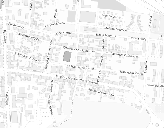 Mapa z adresem organizacji