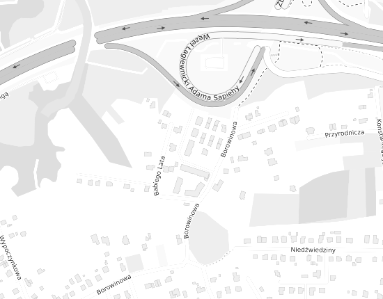 Mapa z adresem organizacji