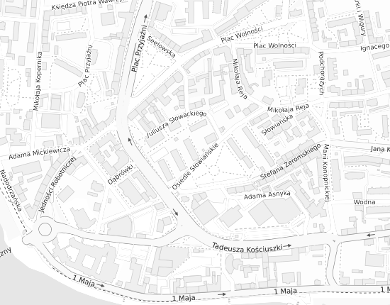 Mapa z adresem organizacji