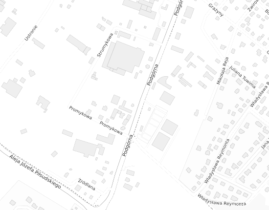 Mapa z adresem organizacji