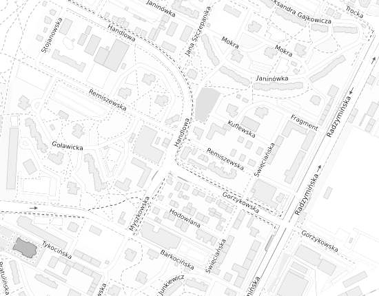 Mapa z adresem organizacji
