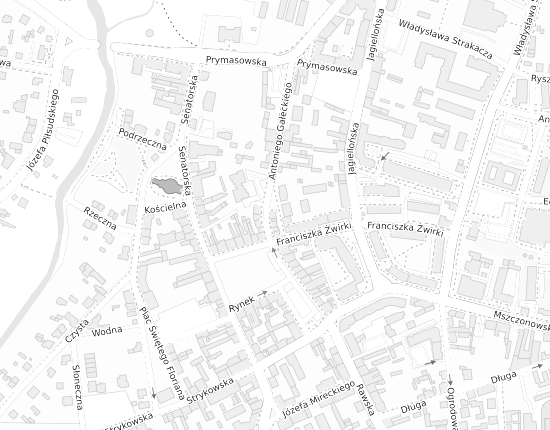 Mapa z adresem organizacji