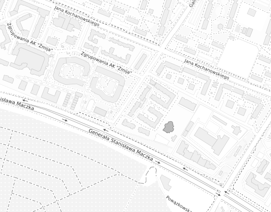 Mapa z adresem organizacji