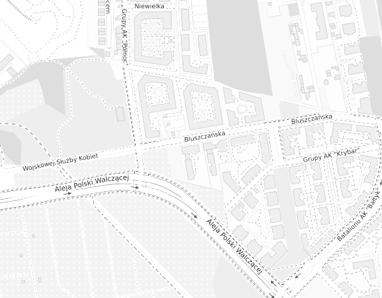 Mapa z adresem organizacji