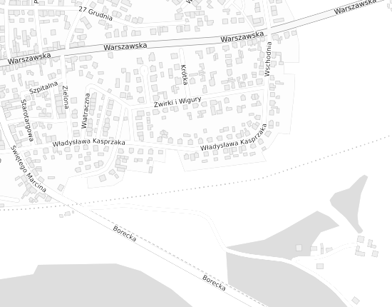 Mapa z adresem organizacji