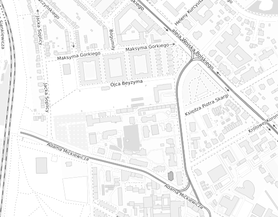 Mapa z adresem organizacji