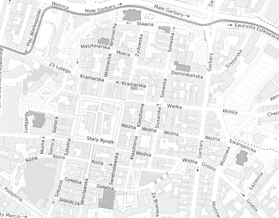 Mapa z adresem organizacji