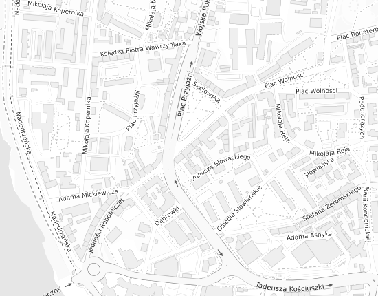 Mapa z adresem organizacji