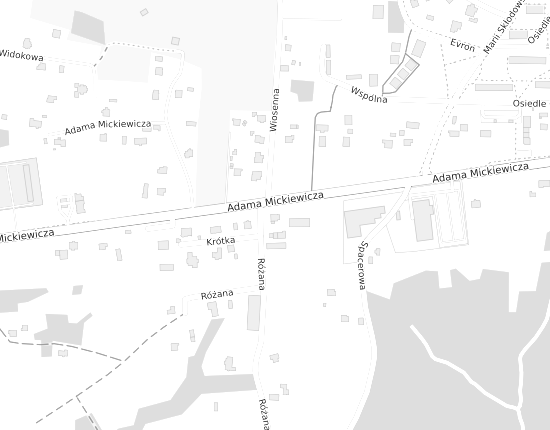 Mapa z adresem organizacji