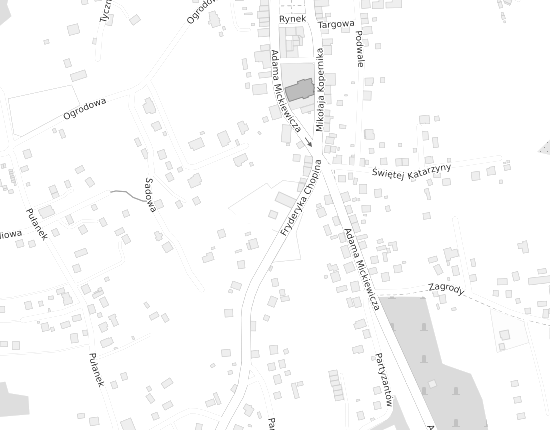 Mapa z adresem organizacji