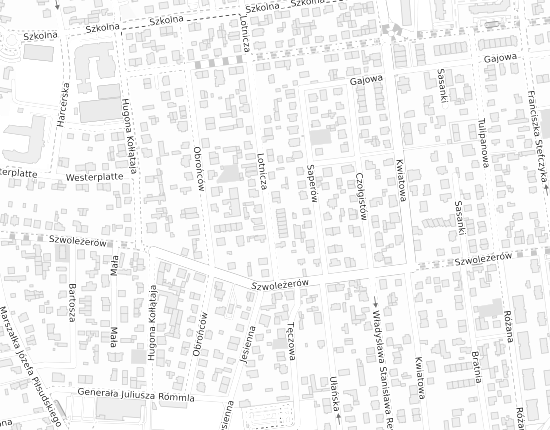 Mapa z adresem organizacji