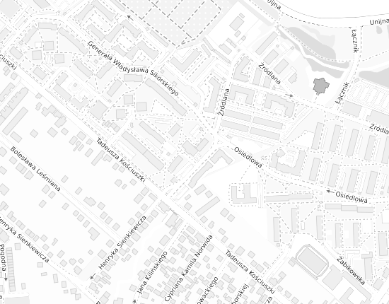 Mapa z adresem organizacji