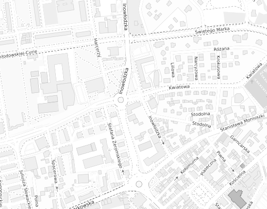 Mapa z adresem organizacji