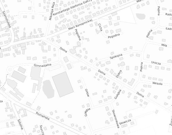 Mapa z adresem organizacji