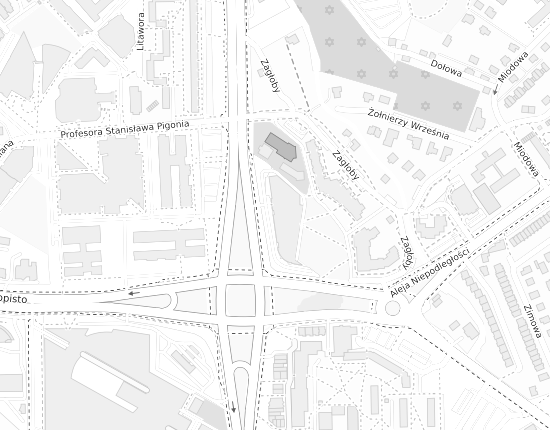 Mapa z adresem organizacji
