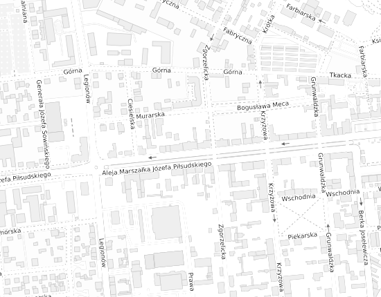 Mapa z adresem organizacji