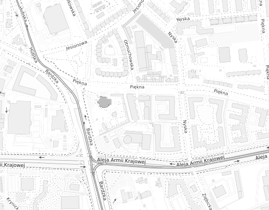 Mapa z adresem organizacji