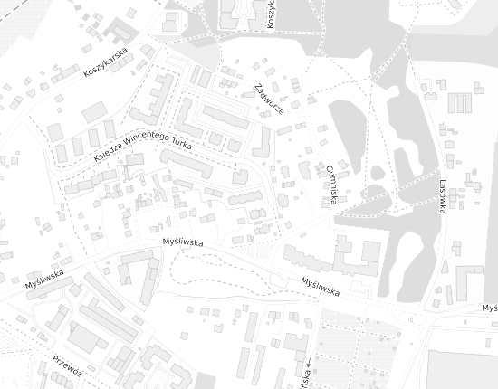 Mapa z adresem organizacji