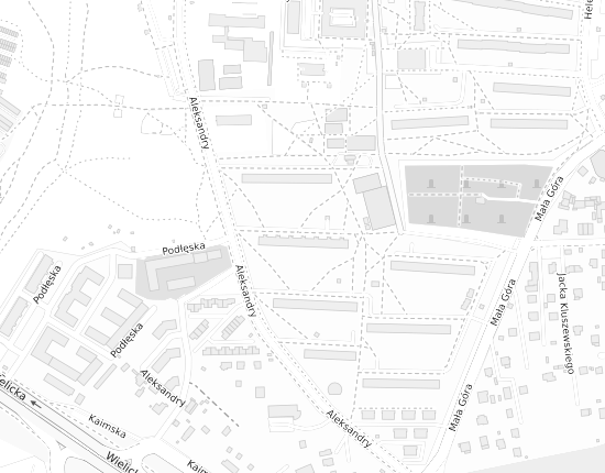 Mapa z adresem organizacji