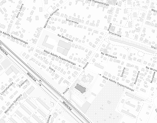 Mapa z adresem organizacji