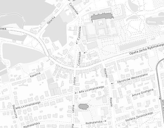 Mapa z adresem organizacji