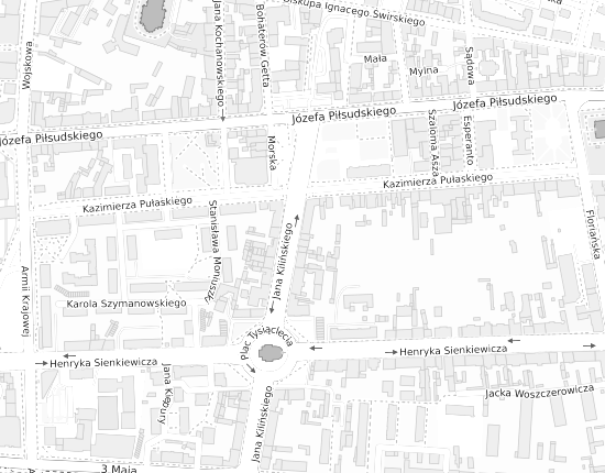 Mapa z adresem organizacji