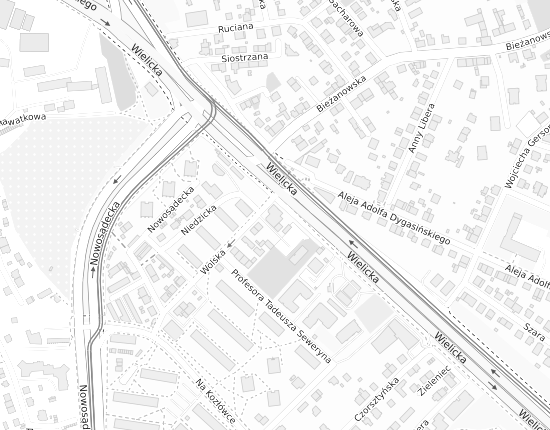 Mapa z adresem organizacji