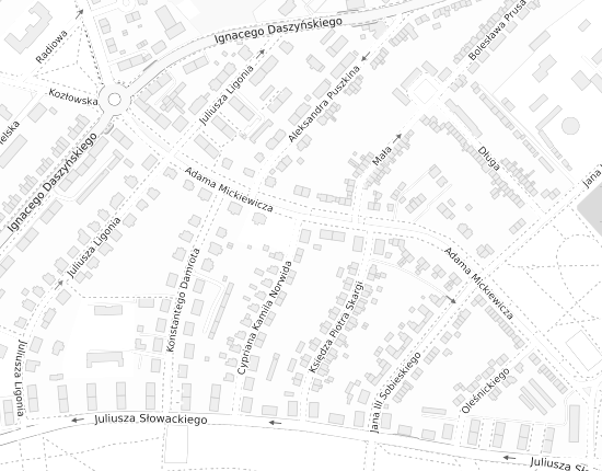 Mapa z adresem organizacji