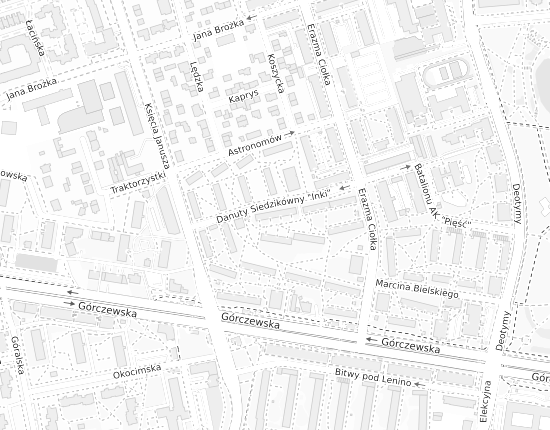 Mapa z adresem organizacji