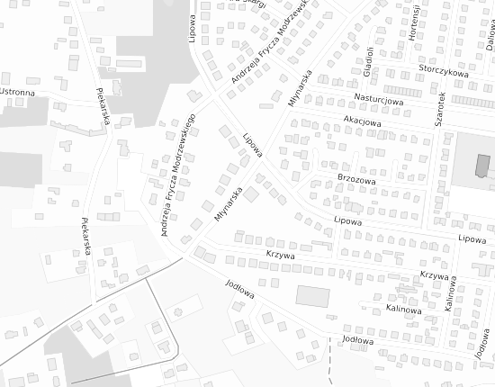Mapa z adresem organizacji