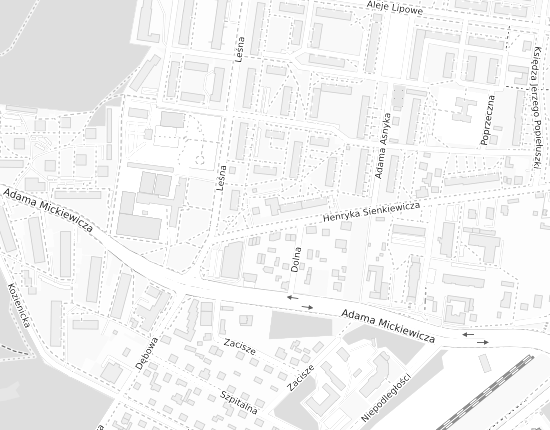 Mapa z adresem organizacji