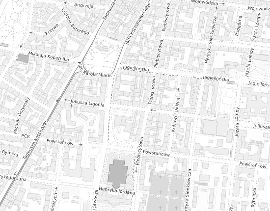 Mapa z adresem organizacji