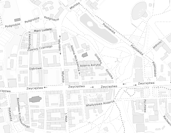 Mapa z adresem organizacji