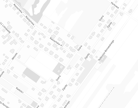 Mapa z adresem organizacji