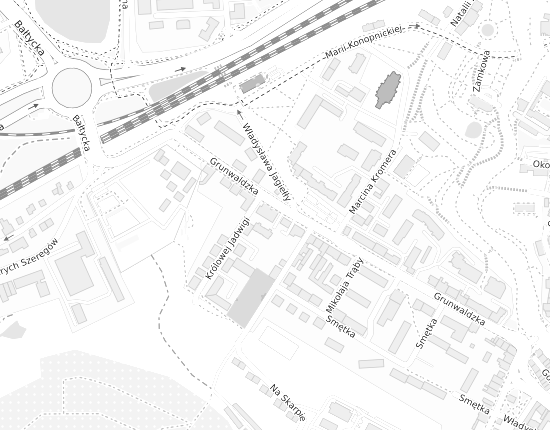 Mapa z adresem organizacji