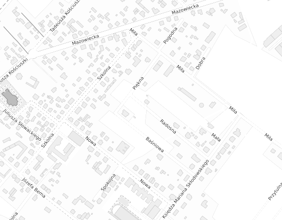 Mapa z adresem organizacji