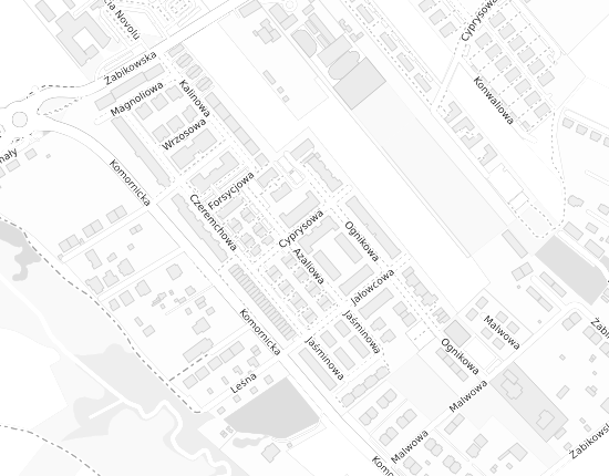 Mapa z adresem organizacji
