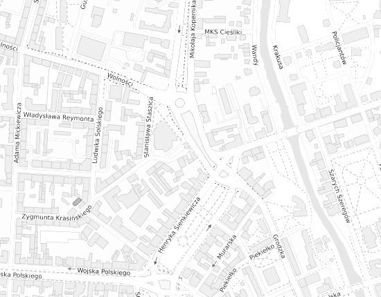 Mapa z adresem organizacji