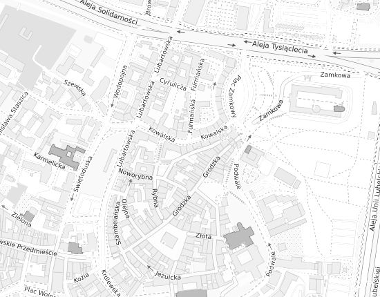 Mapa z adresem organizacji