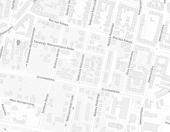 Mapa z adresem organizacji